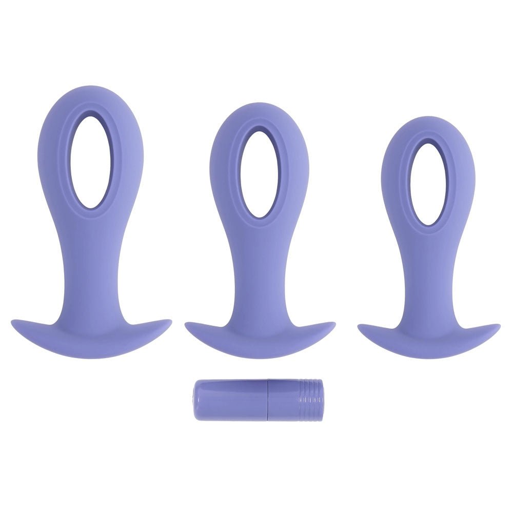 Evolved Hole Punch Butt Plugs Set with Interchangeable Bullet - Purple
