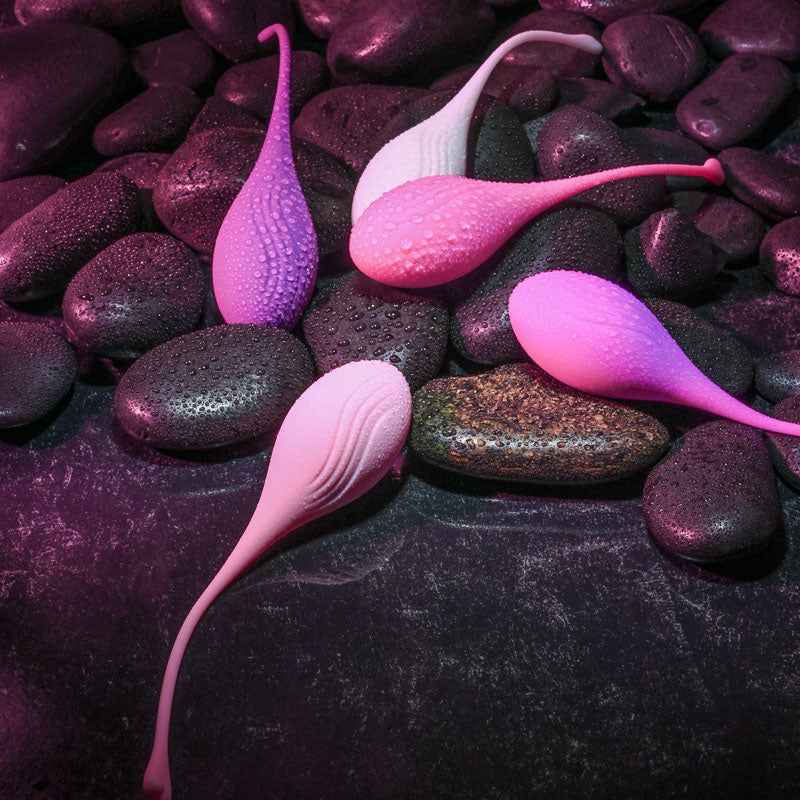 Evolved Tight & Delight Kegel Trainer Set - 5 Piece Kit