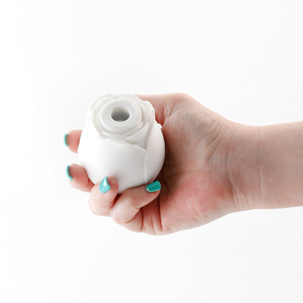 Top 7 Clitoral Vibrators Recommended by Experts