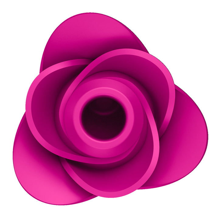 Satisfyer Pro 2 Modern Blossom Air Pulse Rose Stimulator - Pink