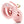 CB-6000S Chastity 2.5 Inch Cock Cage Kit - Pink