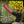 Creature Cocks Centaur Explosion - Squirting Fantasy Dildo