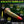 Creature Cocks Tenta-Dick Fantasy Dildo