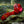 Creature Cocks Cobra - Red 7.5 Inch Fantasy Vibrator with Plasma Ball