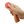 Party Up Oscar 1 Inch Penis Extender Sleeve - Flesh