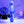 Evolved Butterfly Dreams Vibrator - Purple