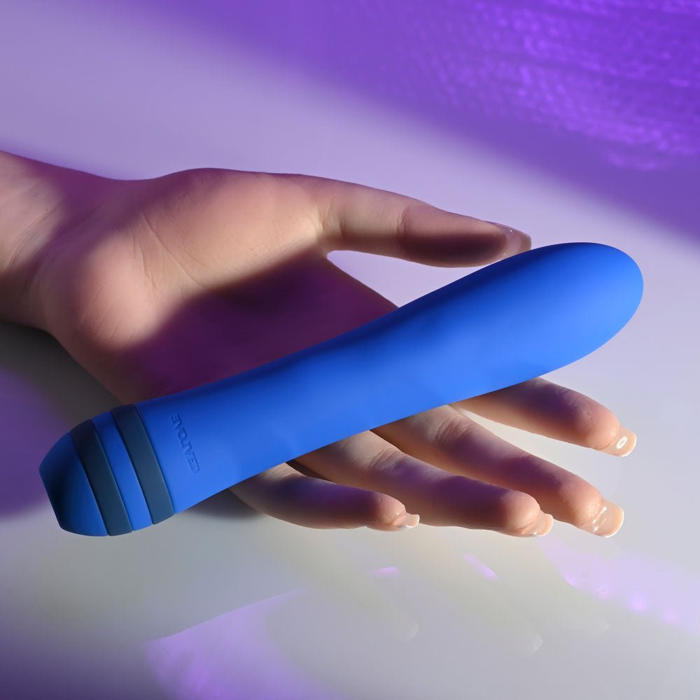 Evolved The Pleaser Vibrator - Blue