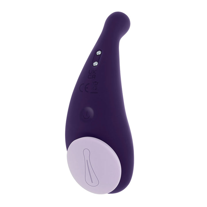 Evolved Panty Party - Panty Vibrator with Remote Control - Purple