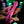 Evolved Pink Dragon - Thrusting Rabbit Vibrator - Pink