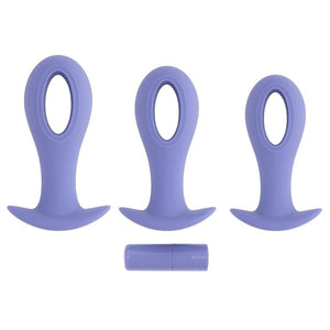 Evolved Hole Punch Butt Plugs Set with Interchangeable Bullet - Purple