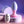 Evolved Paradise Plug - Vibrating Butt Plug - Pink/Purple