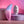 Evolved Paradise Panty Vibrator with Remote Control - Pink/Purple