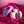 Evolved Paradise Panty Vibrator with Remote Control - Pink/Purple