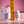 Evolved Paradise Panty Vibrator with Remote Control - Pink/Purple