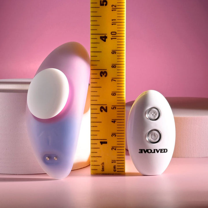 Evolved Paradise Panty Vibrator with Remote Control - Pink/Purple
