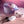Evolved Paradise Panty Vibrator with Remote Control - Pink/Purple