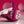 Evolved Come On Over - Vibrator with Wireless Remote - Burgundy Red