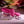 Evolved Cherry Pose  - Flexible & Posable Vibrator with Remote - Pink