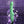 Evolved Full Throttle Vibrator - Mint Green