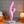 Evolved Push The Button  Rabbit Vibrator With G Spot Bud - Pink