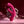 Evolved Gentle Persuasion - Pink Rechargeable Rabbit Vibrator