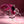 Evolved Gentle Persuasion - Pink Rechargeable Rabbit Vibrator