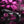 Evolved Black Magic - Black Rechargeable Rabbit Vibrator with LED Screen