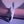 Evolved Pep Talk Thrusting Vibrator with Tapping Clitoral Stimulator - Purple