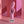 Evolved Cushy Bunny Rabbit Vibrator - Pink