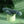 Evolved Satin Swirl - Green Rechargeable Rabbit Vibrator with Swirling Head