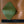 Gender X Pleasure Grinding Pad - Green
