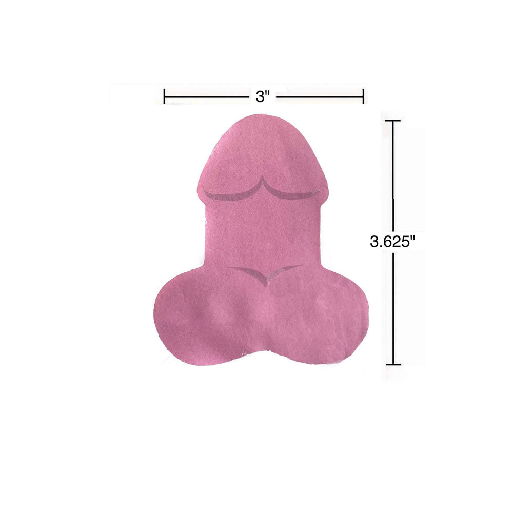 Super Fun Penis Multi Coloured Sticky Notes -  100 Pack