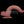 Dual Density Power Cock - 9 Inch Flesh Vibrating Dildo