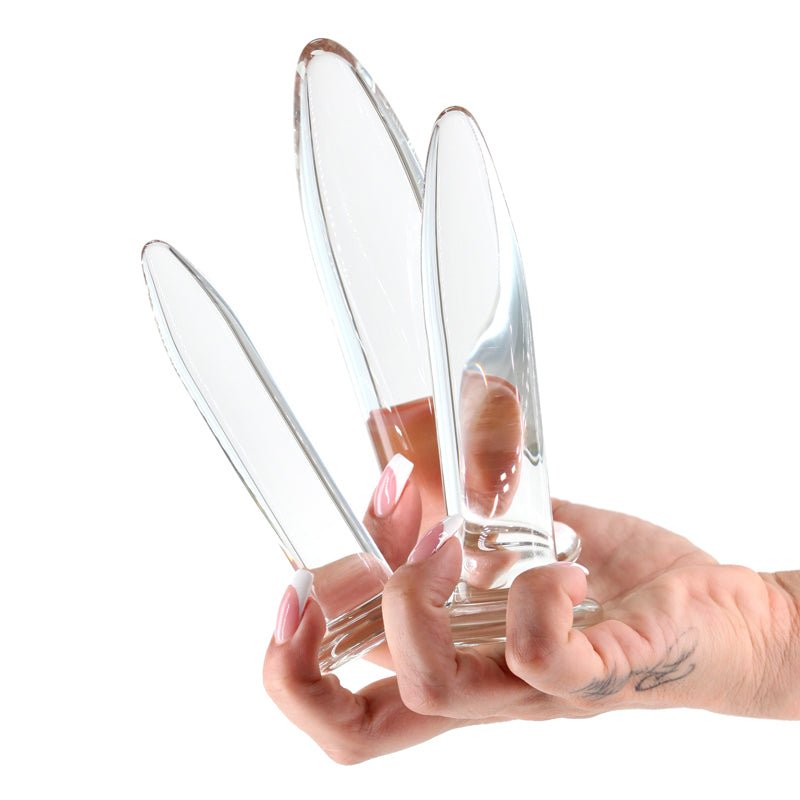 Crystal Clear Glass Anal Plugs Trainer Kit