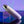 Playboy Pleasure Bunny Bunch Bullet - Pearl