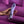 Playboy Pleasure Tap Me In - Rabbit Vibrator with Tapping Shaft - Purple