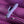 Playboy Pleasure Tap Me In - Rabbit Vibrator with Tapping Shaft - Purple