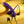Playboy Pleasure Twisted Playground Vibrator and Cock Ring Kit