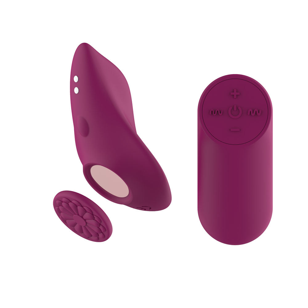 Passion Play Magnet Panty Vibe with Remote - Purple