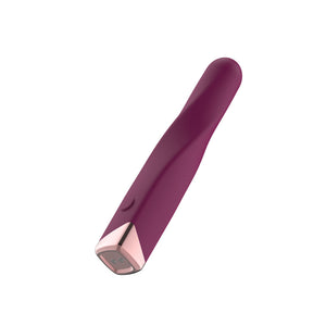 Passion Play Rechargeable Vibrating Bullet - Purple