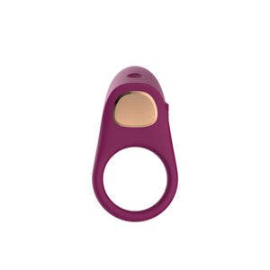 Passion Play Silicone Vibrating Cock Ring - Purple