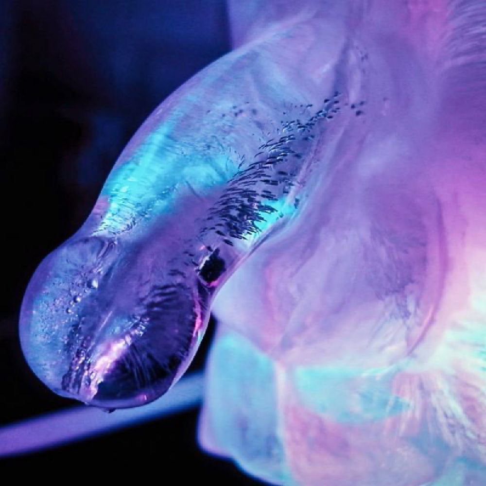 Huge Penis Ice Luge Kit