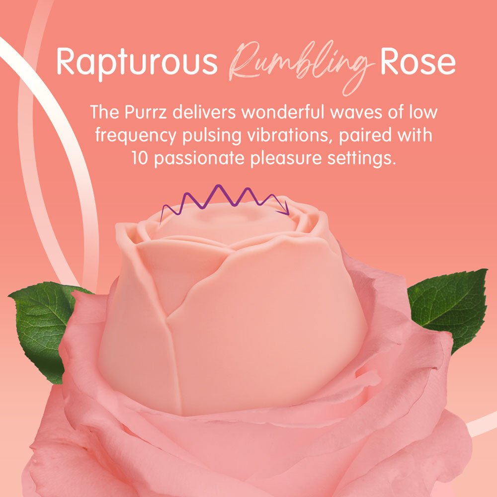 Skins Rose Buddies - The Rose Purrz - Pink