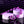 Selopa Beaded Adventure - Purple