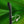 Selopa Midnight Magic Vibrator - Black