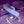Evolved Lavender Love Rabbit Vibrator