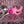 Selopa Game On - Pink Mini Triple Stimulator
