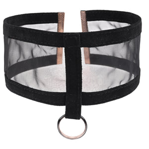 Sex & Mischief Sheer Day Collar - Black
