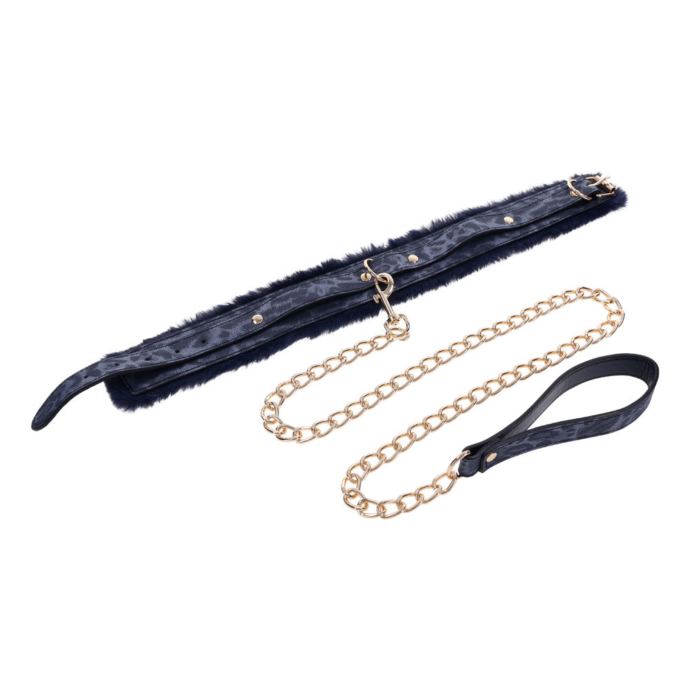 Sex & Mischief Cougar Fur Collar & Leash - Navy Blue/Gold