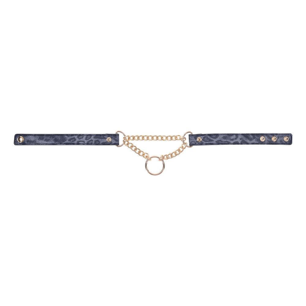 Sex & Mischief Cougar Day Collar - Navy Blue/Gold Collar